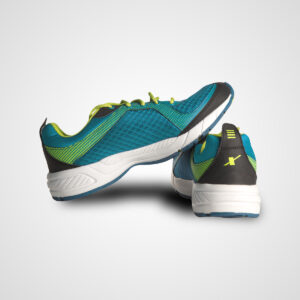 Test Shoe